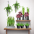 Artificial Flower