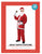 Adult Santa Costume