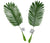 FERN LEAF- 64CM