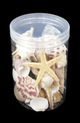 Sea Shells in plastic